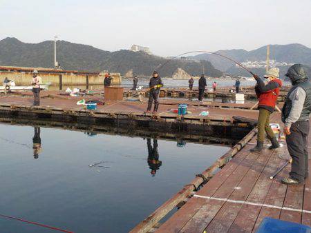 淡路じゃのひれフィッシングパーク 釣果
