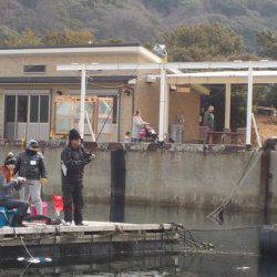 淡路じゃのひれフィッシングパーク 釣果