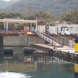 淡路じゃのひれフィッシングパーク 釣果