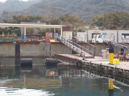 淡路じゃのひれフィッシングパーク 釣果