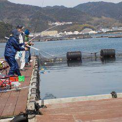 淡路じゃのひれフィッシングパーク 釣果