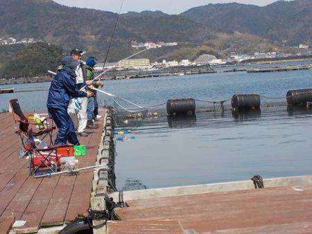 淡路じゃのひれフィッシングパーク 釣果