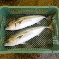 淡路じゃのひれフィッシングパーク 釣果