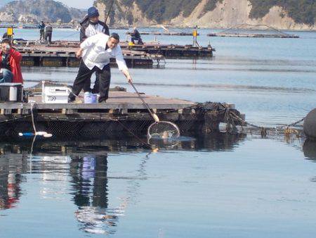 淡路じゃのひれフィッシングパーク 釣果