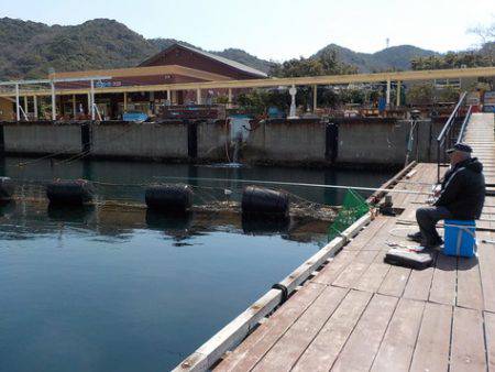 淡路じゃのひれフィッシングパーク 釣果