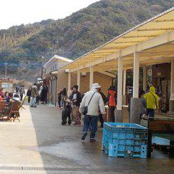 淡路じゃのひれフィッシングパーク 釣果
