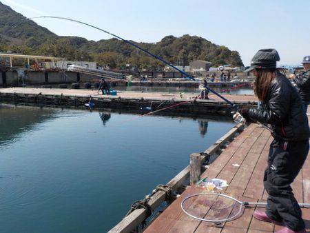 淡路じゃのひれフィッシングパーク 釣果