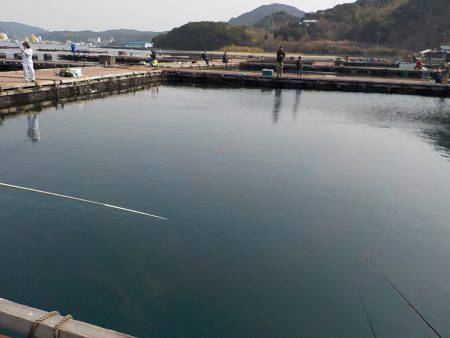 淡路じゃのひれフィッシングパーク 釣果