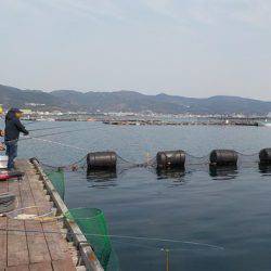 淡路じゃのひれフィッシングパーク 釣果