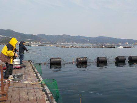 淡路じゃのひれフィッシングパーク 釣果