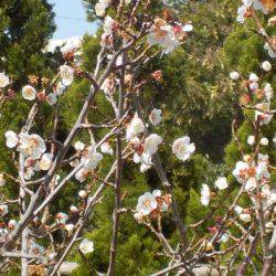 淡路じゃのひれフィッシングパーク 釣果