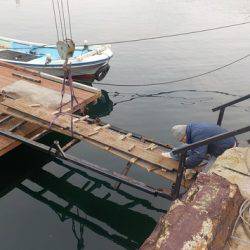 淡路じゃのひれフィッシングパーク 釣果