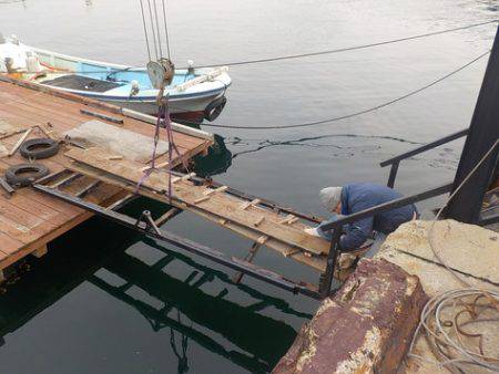 淡路じゃのひれフィッシングパーク 釣果