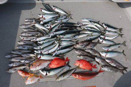 へいみつ丸 釣果