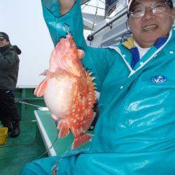 第二むつ漁丸 釣果