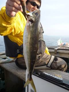 松福丸 釣果