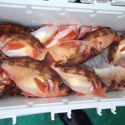 第二むつ漁丸 釣果