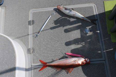 へいみつ丸 釣果