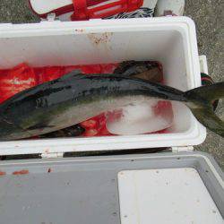 濱田渡船 釣果