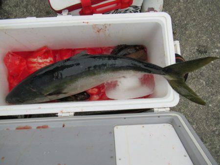 濱田渡船 釣果