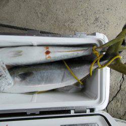 濱田渡船 釣果