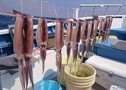 しまや丸 釣果