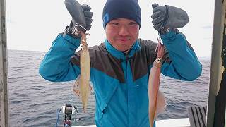 しまや丸 釣果