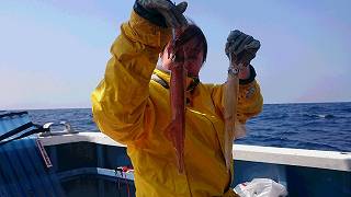 しまや丸 釣果
