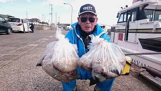 しまや丸 釣果