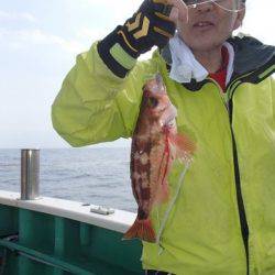 第二むつ漁丸 釣果