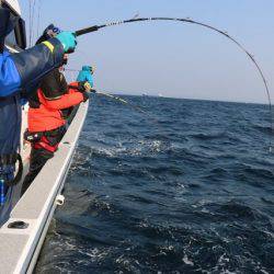 へいみつ丸 釣果