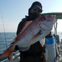 Magic（マジック） 釣果