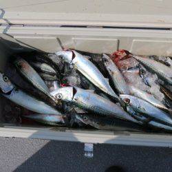 へいみつ丸 釣果