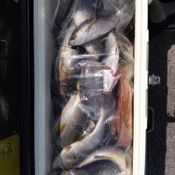 第二大福丸 釣果