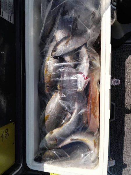 第二大福丸 釣果