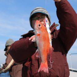 へいみつ丸 釣果