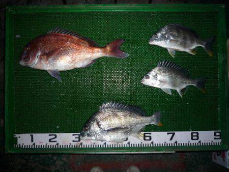 海山フィッシングセンター 釣果