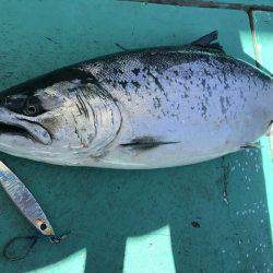 広進丸 釣果