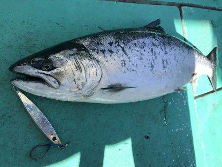 広進丸 釣果