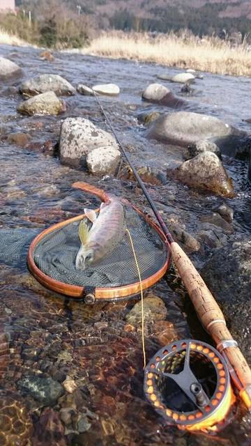 狩野川(狩野川漁業協同組合) 釣果