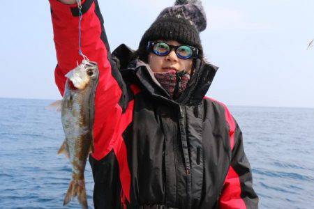 へいみつ丸 釣果