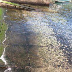 鵜来島家本渡船 釣果