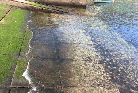 鵜来島家本渡船 釣果