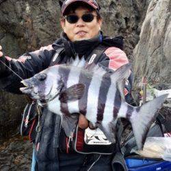 鵜来島家本渡船 釣果