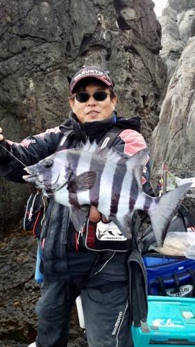 鵜来島家本渡船 釣果