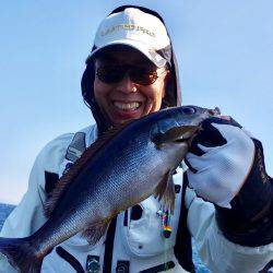 鵜来島家本渡船 釣果