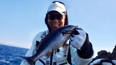 鵜来島家本渡船 釣果