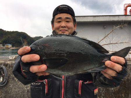 鵜来島家本渡船 釣果