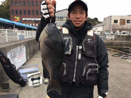 鵜来島家本渡船 釣果