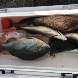 鵜来島家本渡船 釣果